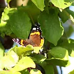 Апартаменты Forsthof Niendorf