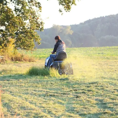 Forsthof Niendorf Appartamento Teterow