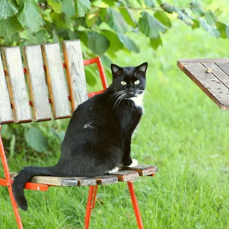 Appartamento Forsthof Niendorf Teterow