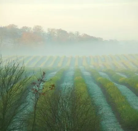 Forsthof Niendorf Teterow