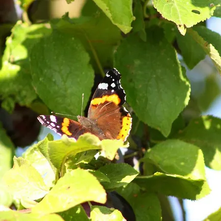 Appartamento Forsthof Niendorf