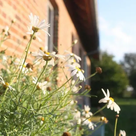 Forsthof Niendorf * Teterow