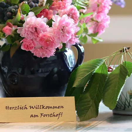 Forsthof Niendorf * Teterow