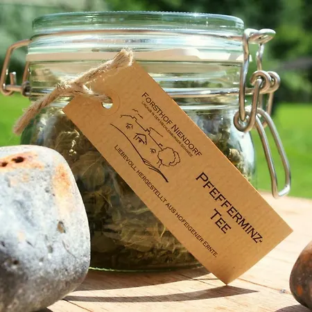 Forsthof Niendorf * Teterow