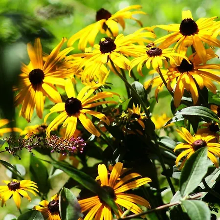 Appartamento Forsthof Niendorf