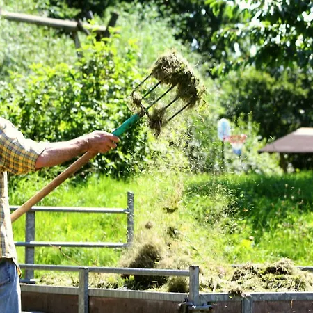 Appartamento Forsthof Niendorf Teterow