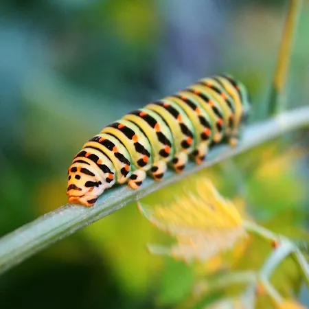 Forsthof Niendorf Appartamento *