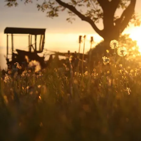 Forsthof Niendorf Appartamento *