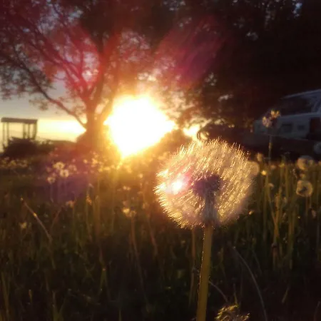 Appartamento Forsthof Niendorf *