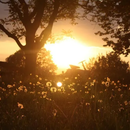 Forsthof Niendorf Appartamento Teterow