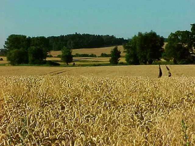 Forsthof Niendorf Appartamento *