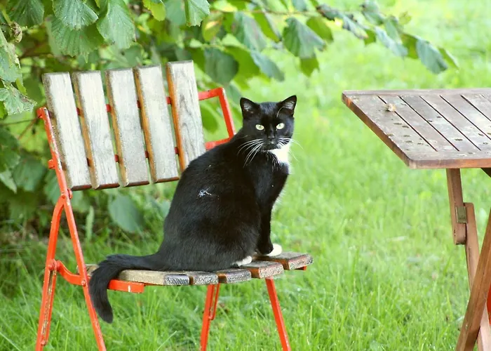 Appartamento Forsthof Niendorf Teterow