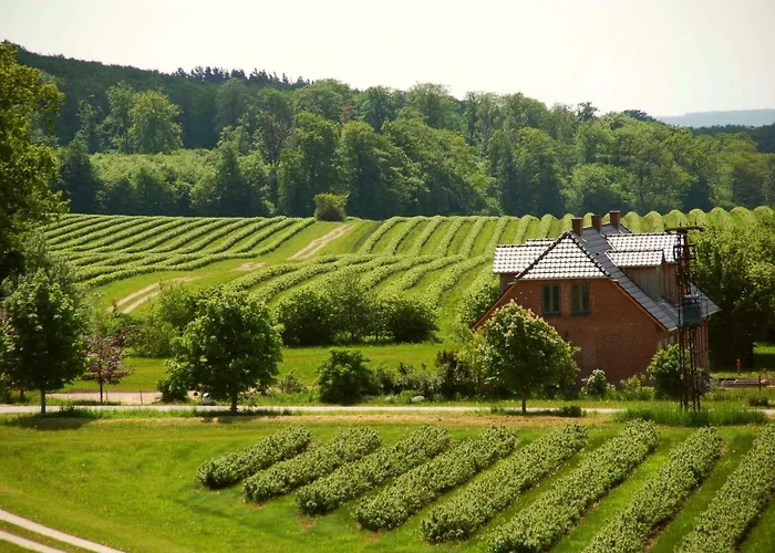 Forsthof Niendorf * Teterow