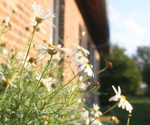 Forsthof Niendorf * Teterow