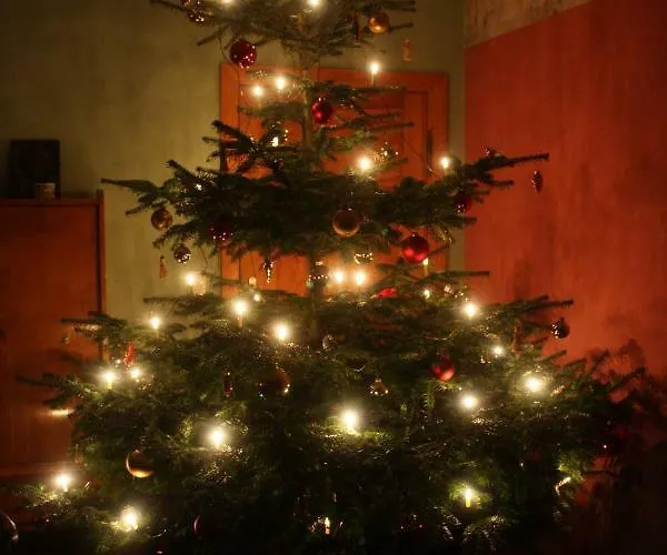 Forsthof Niendorf Teterow