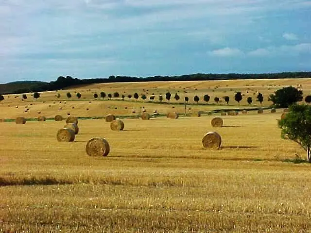 Appartamento Forsthof Niendorf