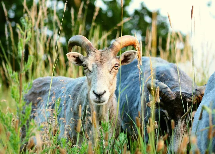 Appartamento Forsthof Niendorf